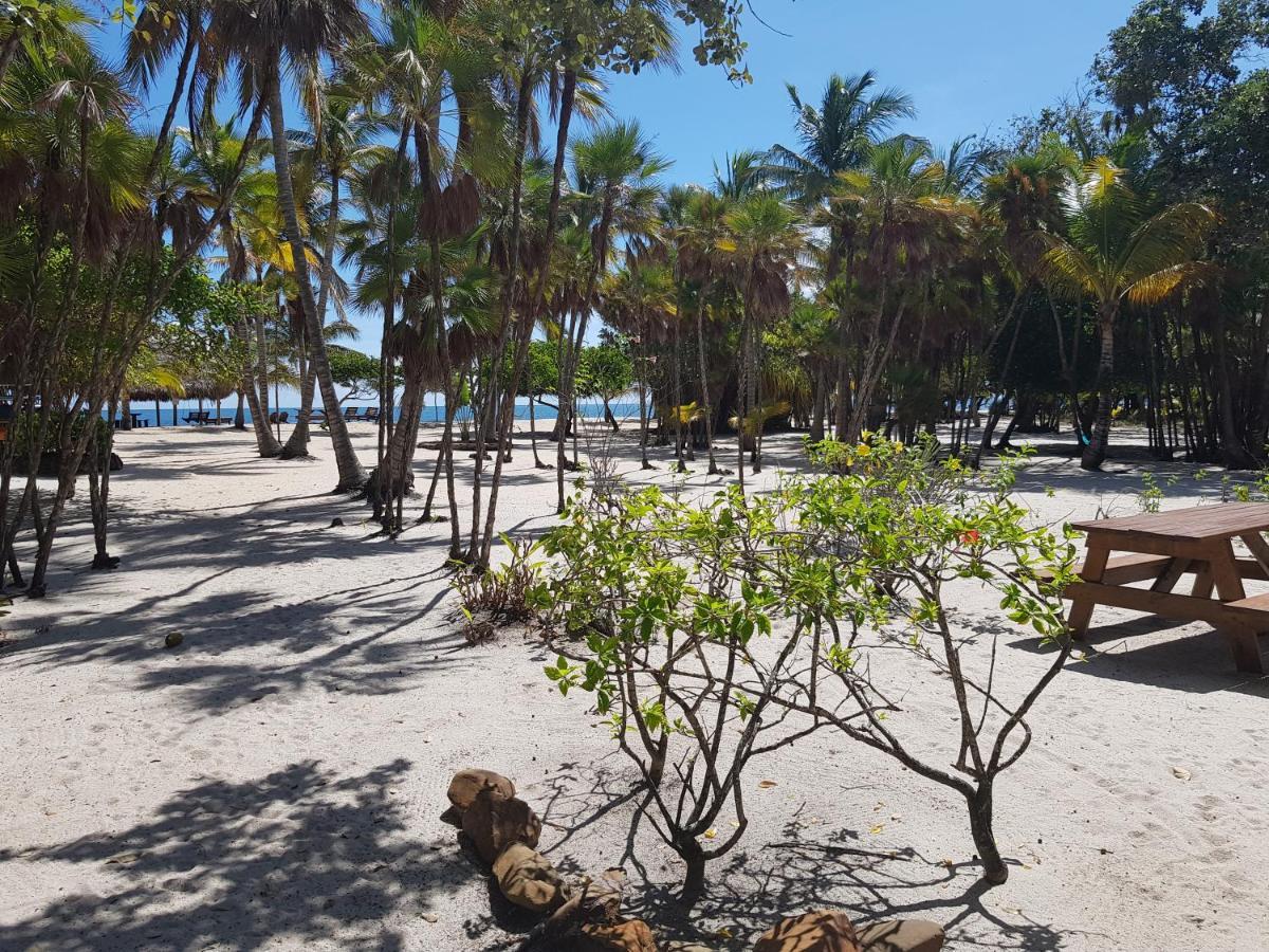 Hotel Wild Orchid Placencia Esterno foto