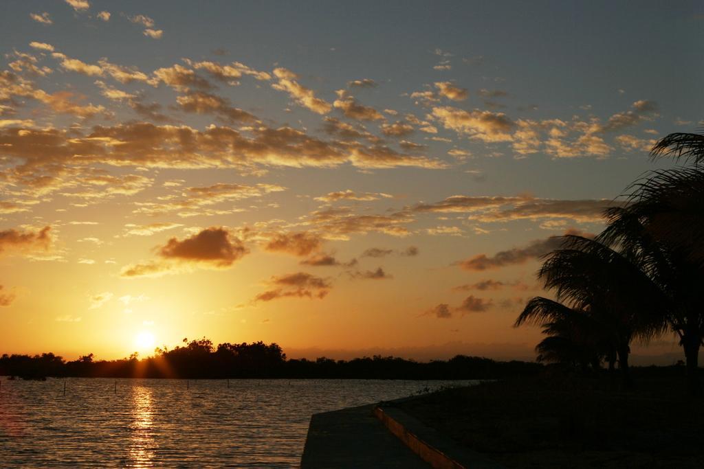 Hotel Wild Orchid Placencia Camera foto
